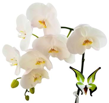 Orchideenstab - Schmetterling (normale Ausführung / grün-weiß, schwarzer Rand)